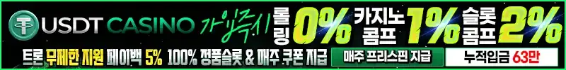 USDT카지노